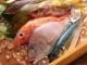 Seafood Fraud  A Bitter Reality Of Fine Dining